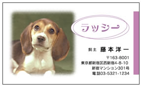 ポエム風写真ぼかしペット名刺