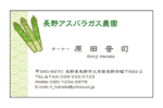アスパラガスイラスト入りアスパラガス農園名刺